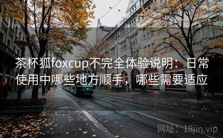 茶杯狐foxcup不完全体验说明：日常使用中哪些地方顺手，哪些需要适应