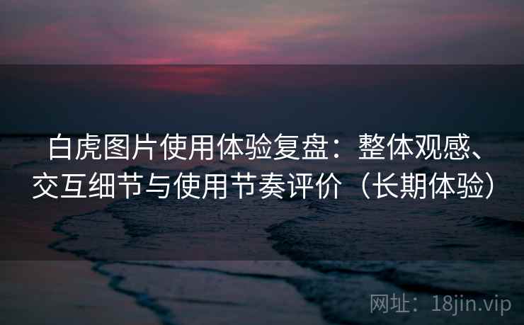 白虎图片使用体验复盘：整体观感、交互细节与使用节奏评价（长期体验）