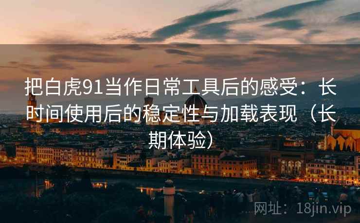 把白虎91当作日常工具后的感受：长时间使用后的稳定性与加载表现（长期体验）