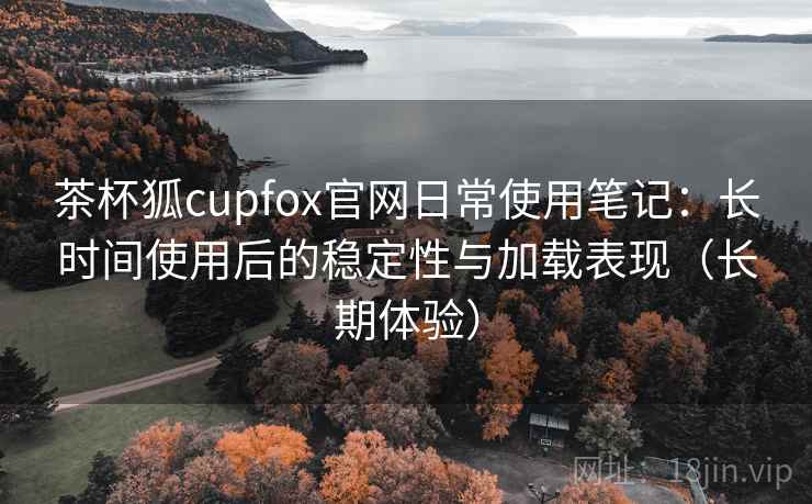 茶杯狐cupfox官网日常使用笔记：长时间使用后的稳定性与加载表现（长期体验）