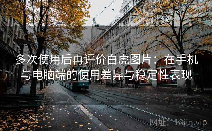 多次使用后再评价白虎图片：在手机与电脑端的使用差异与稳定性表现