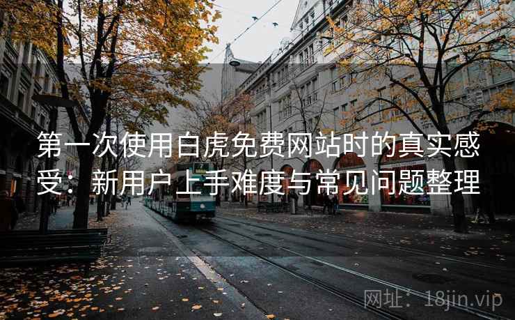 第一次使用白虎免费网站时的真实感受:新用户上手难度与常见问题整理 第一次使用白虎免费网站时的真实感受:新用户上手难度与常见问题整理