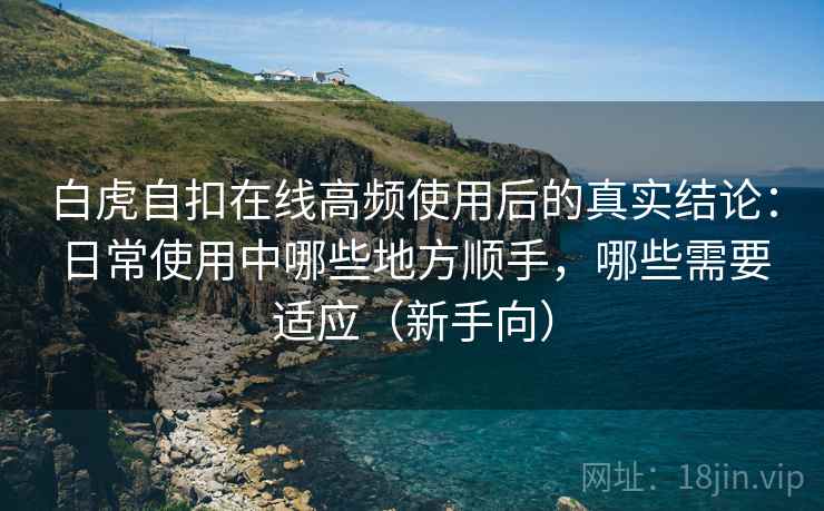 白虎自扣在线高频使用后的真实结论:日常使用中哪些地方顺手,哪些需要适应(新手向) 白虎自扣在线高频使用后的真实结论:日常使用中哪些地方顺手,哪些需要适应(新手向)